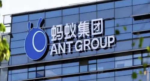 蚂蚁集团旗下数字蚂力科技增资至1亿，软件外包服务能力再获提升